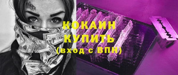 гашик Верея