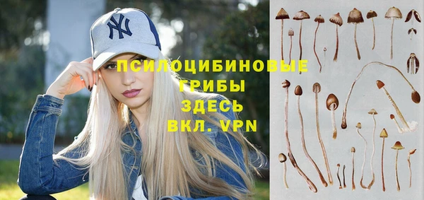 гашик Верея