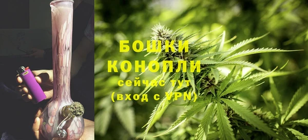 гашик Верея