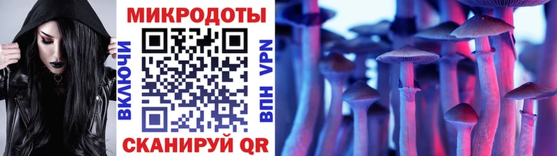 закладки  Высоковск  Галлюциногенные грибы прущие грибы 